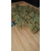 Lilac Diesel Auto RBX2, Фасовка: 6, изображение 3
